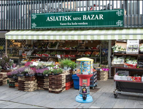 Asiatisk Mini Bazar